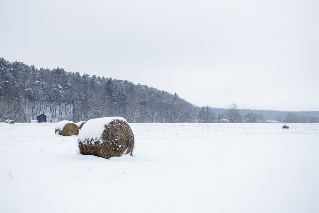 Photo Snow hotel