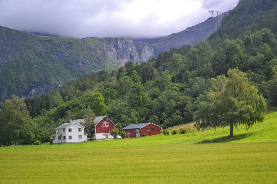 Norwegian language learning