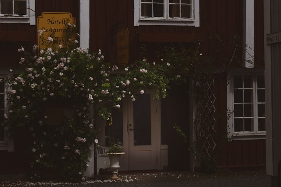 Demistyfikacja Norskprøven