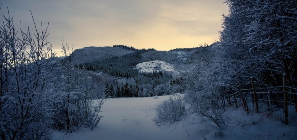 Photo winter norway