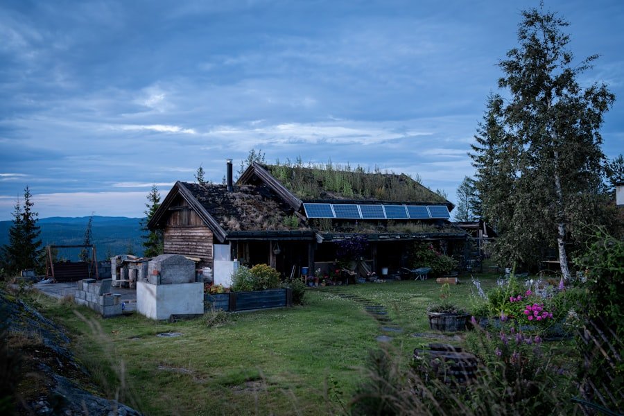 Photo Norway Summer
