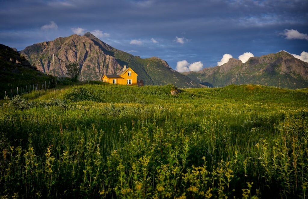 Photo Norway Summer