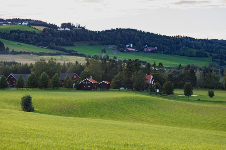 Photo Norway Summer
