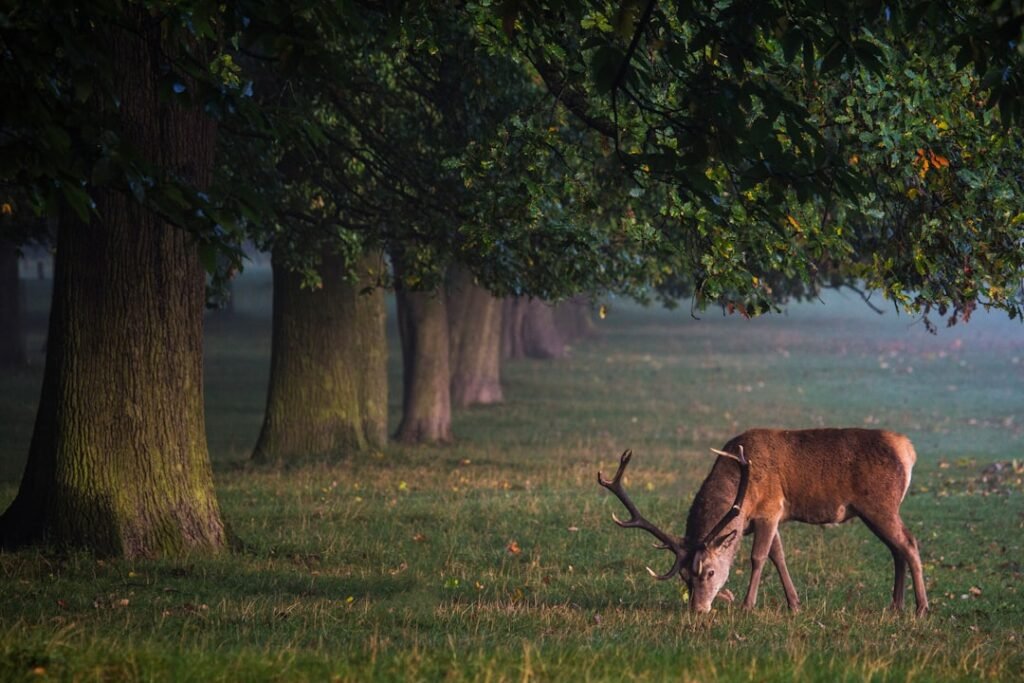Photo England